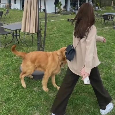 齐天大圣·万妖之城